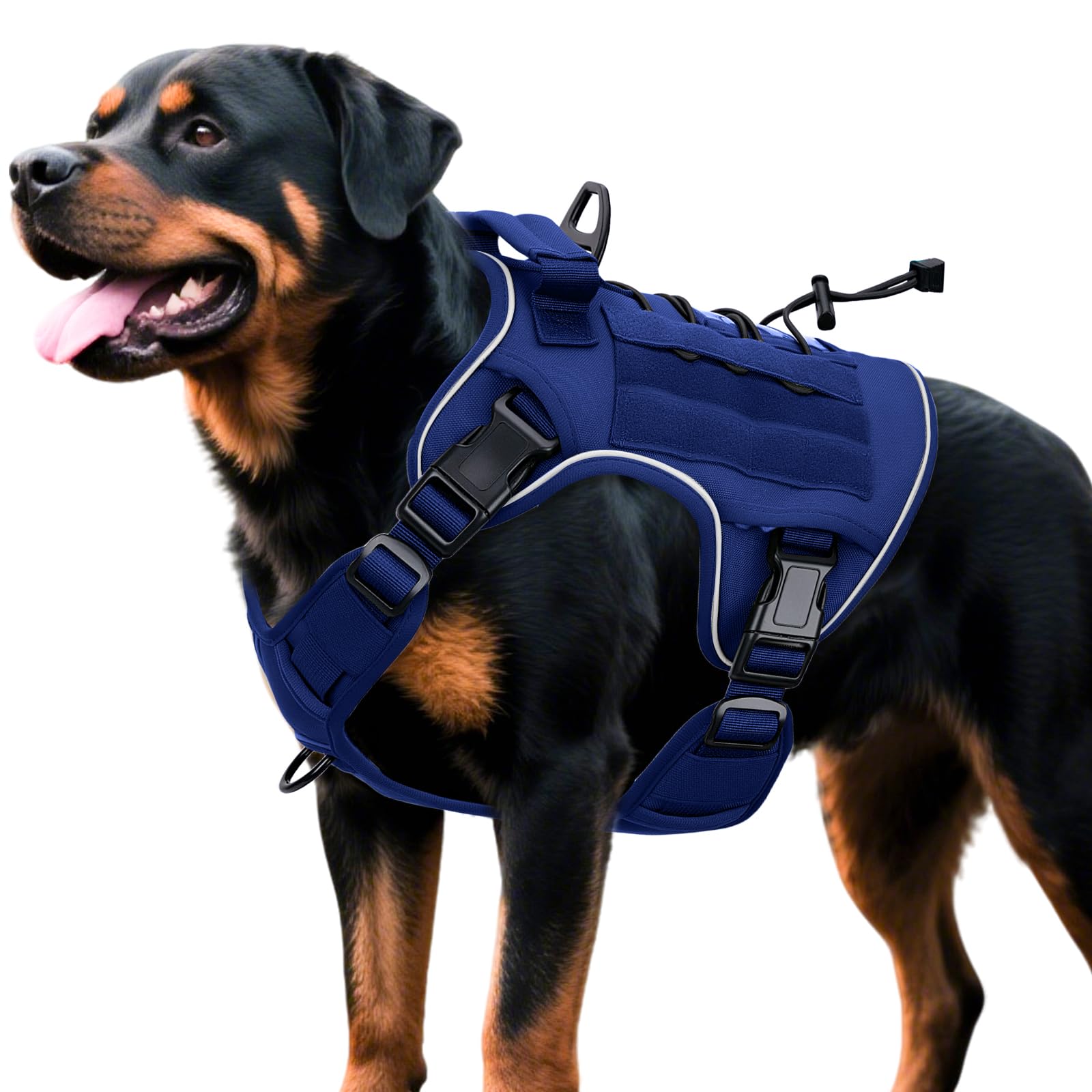 Tactical Dog Harness — Dazzling Blue
